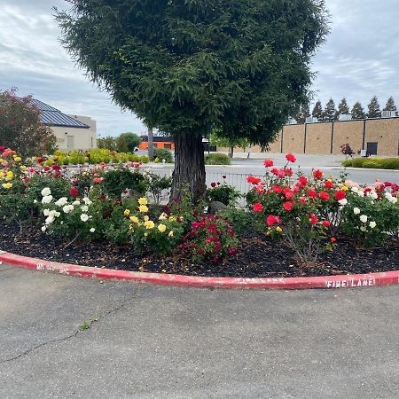 Oasis Inn Sacramento- Elk Grove 외부 사진